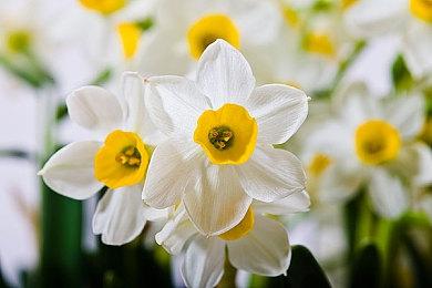 解密游戏《云层之洞》试玩Demo 6月正式发售